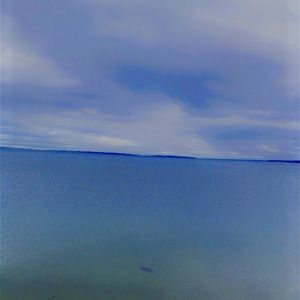 Meet your Posher, Lily